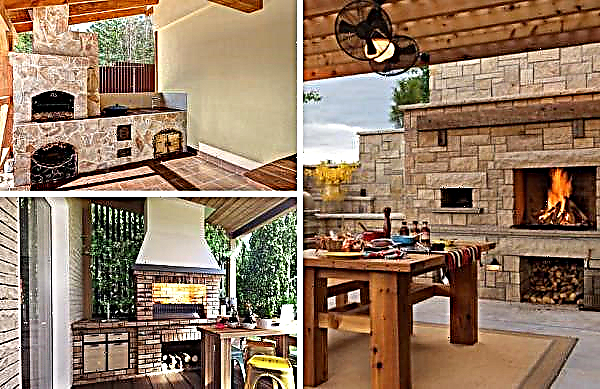 Kamin na verandi: kako izgraditi peć za roštilj vlastitim rukama, kamin u privatnoj kući na verandi, fotografija