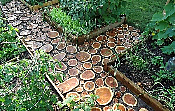 Camino de aserrado de madera hágalo usted mismo: cómo hacer un jardín acera de madera en el país, un camino de alerce en el patio, instrucciones con fotos