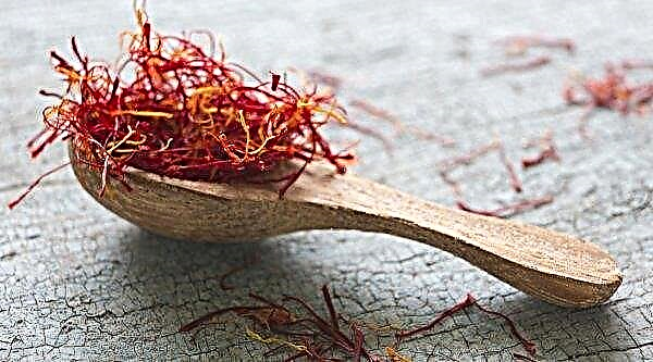 Saffron: useful properties, how to take, what heals, what is beneficial for the body of women and men