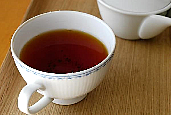Safran-Tee: Nutzen und Schaden, richtige Zubereitung und Einnahme, Rezept- und Lagerbedingungen