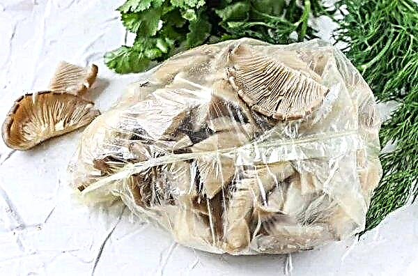 How to store fresh oyster mushrooms, how many are stored in the refrigerator
