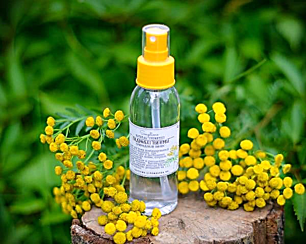 Yellow healer: the healing properties of tansy