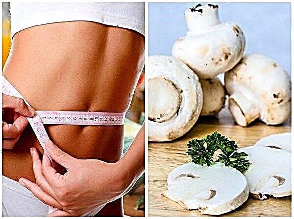 Can I eat champignons when losing weight or on a diet