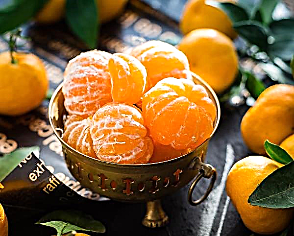 Oranžinis pavojus: kodėl su mandarinais reikia elgtis atsargiai?