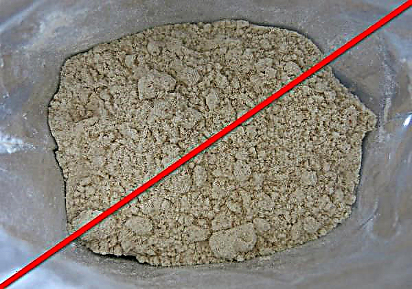 Farine de cèdre: utilisation de la farine de cèdre, propriétés utiles et contre-indications