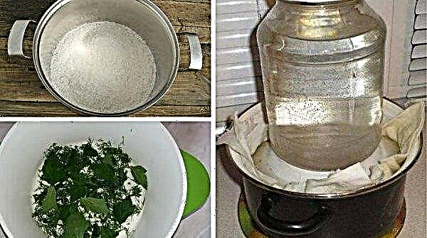 How to soak the mushrooms before salting in a cold way, how many days