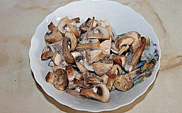 How to freeze champignons for the winter: is it possible to freeze whole raw in the freezer, how to defrost, how much to store