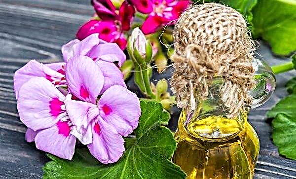 Æterisk olie af geranium: nyttige egenskaber og brug derhjemme (i kosmetologi, til behandling), brugeranmeldelser
