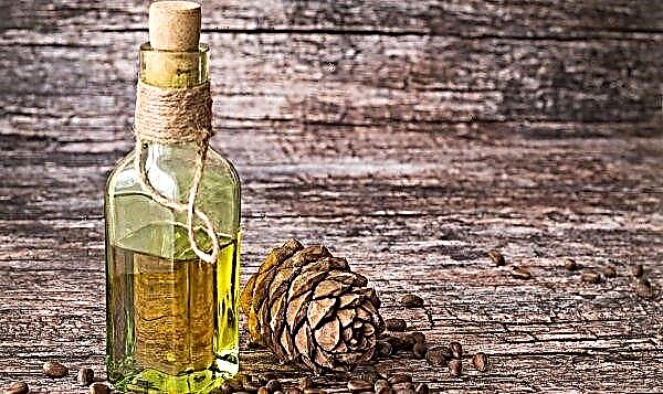 Cedar oil: benefits and harms, use for face and body hair, how to take during pregnancy, essential for hair loss