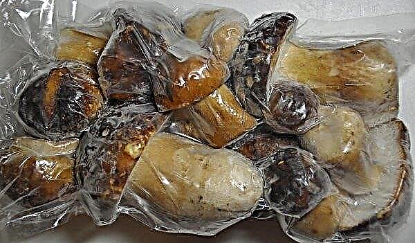 冬にポルチーニ茸を冷凍する方法：冷凍庫で、冷凍のためにどれだけ調理するか、どのように保存するか