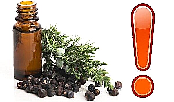 Juniper oil: useful properties and application in cosmetology, aromatherapy, for wound healing; contraindications and harm