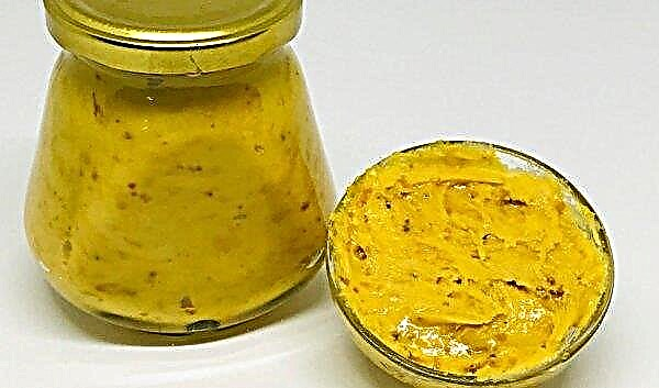 Cómo tomar miel con polen de pino, proporciones y preparación, recetas, beneficios y daños