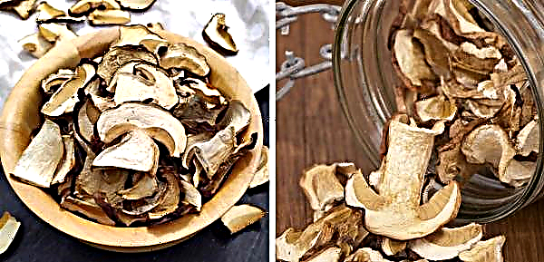 Champignons: dried or not, how to dry at home on a string, in an oven or dryer