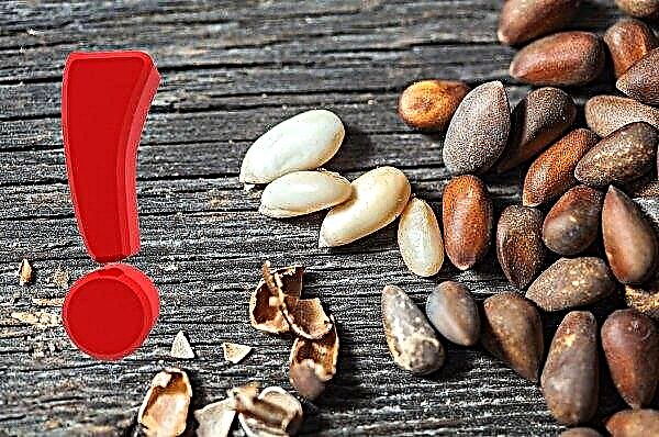 Is it possible to pine nuts with breastfeeding: nuts for hepatitis B in the first and second month