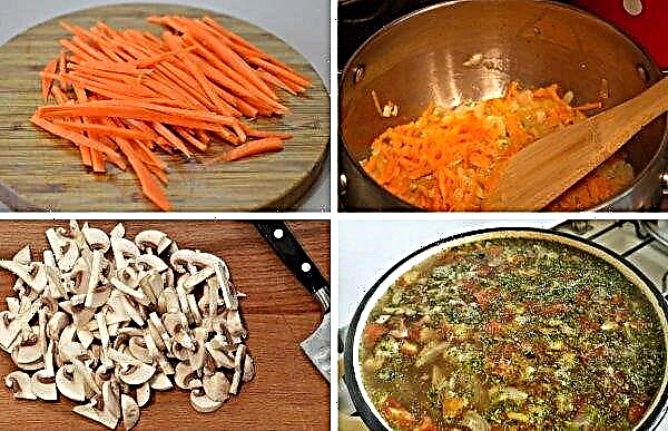 Hvor meget skal man lave svampe: indtil kogt, inden stegning, til suppe, til salat, frisk, frossen, i en gryde, om man skal lave mad