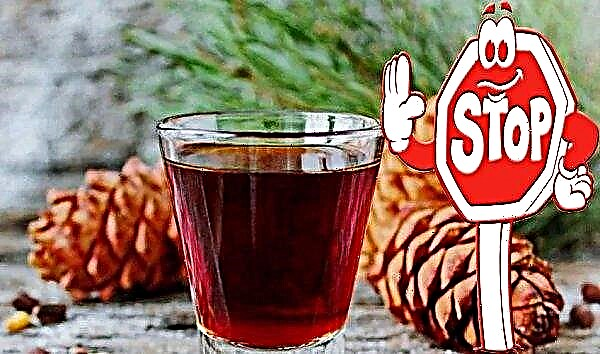 Tincture of pine cones on vodka: medicinal properties, use, contraindications, what diseases it helps