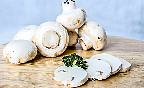 Champignons champignon: est-il possible de manger des champignons frais crus, en salade, non pelés ou pas assez cuits