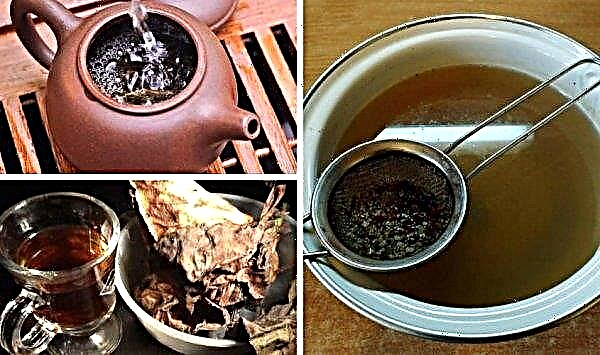 バダンの葉からのお茶：利点と害、薬効と禁忌、家庭で調理する方法、収集する時期と乾燥方法