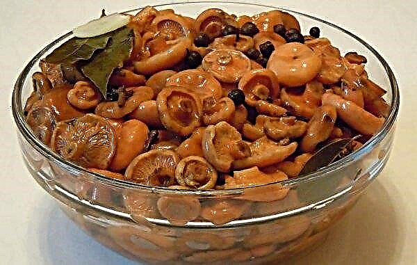 How much to cook mushrooms mushrooms: until cooked and for the winter