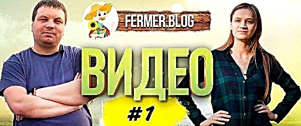 Tapaa Fermer.Blog YouTubessa!