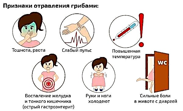 Russula pungent (opkast): foto og beskrivelse, hvordan man skelner fra normal, symptomer på forgiftning