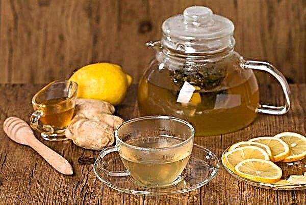 Ginger with lemon and honey for weight loss: calorie content and vitamin composition, how to take it correctly and in what form