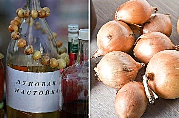 Squeeze juice from onions at home: methods, photos
