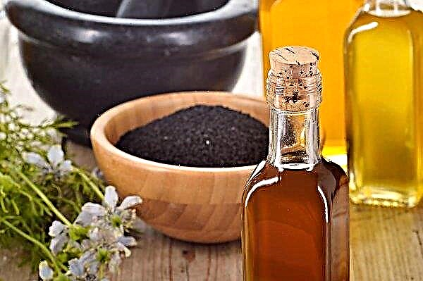 Black cumin oil for colds: use for cough, for sinusitis, for runny nose and for bronchitis