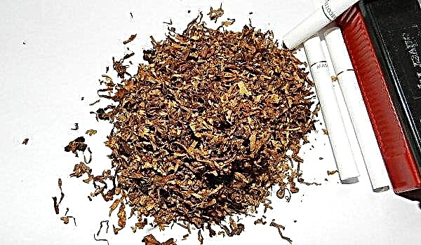Microwave fermentation of tobacco: conditions and preparation, how to do it right, storage rules, video