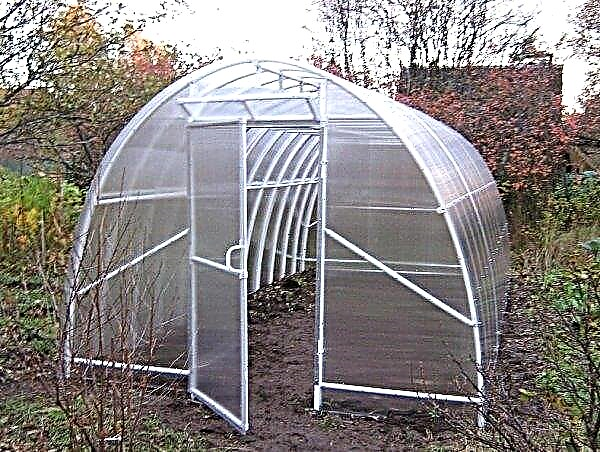 Greenhouse made of polypropylene pipes: drawings and schemes, DIY installation, photos, video