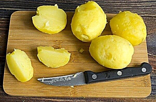 Apakah mungkin makan kentang yang tumbuh: apakah berbahaya untuk dimakan, komposisi kimia, dan kandungan kalori