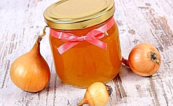 Onion with cough honey: how to make, rules for use and contraindications