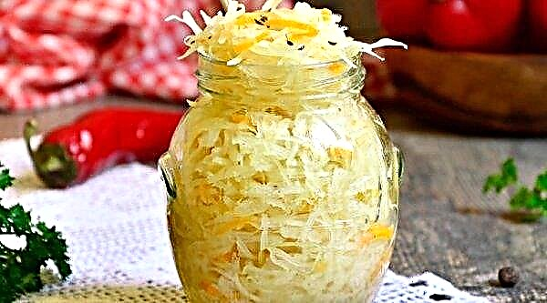 Salt for sauerkraut: how much is needed, proportions, preparation for cooking at home