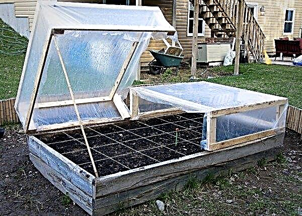Mini-greenhouse: functions, operating principle, types of structures, how to do it yourself, photo