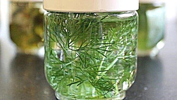 What vitamins are in dill?