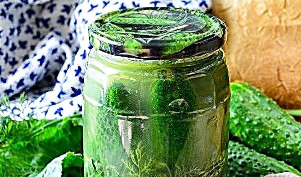 Pickled cucumbers with aspirin for the winter: the best recipes with photos