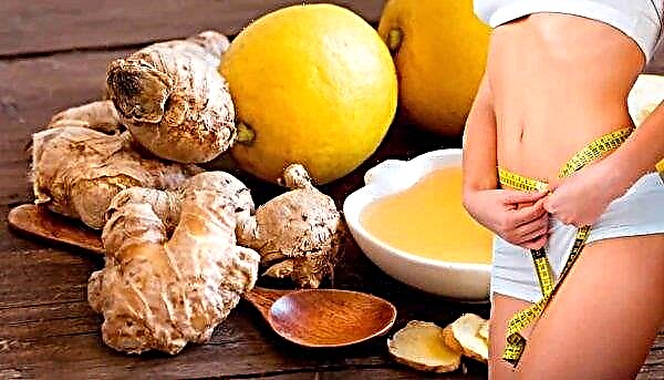 Una mezcla de jengibre y limón: acción, propiedades curativas, beneficios, daños y efectos secundarios para el cuerpo.
