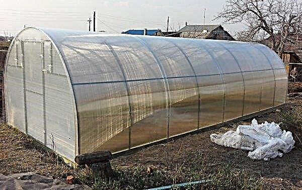 Greenhouse "Uralochka": reinforced, made of polycarbonate, advantages and disadvantages, assembly at home