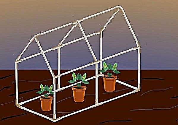How to make a home-made mini-greenhouse for your home and garden with your own hands: step-by-step instructions, materials, the best projects, photos