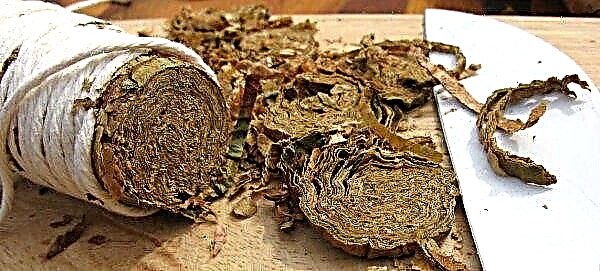Stockage du tabac à domicile: après fermentation et séchage, sélection des conteneurs et durée de conservation