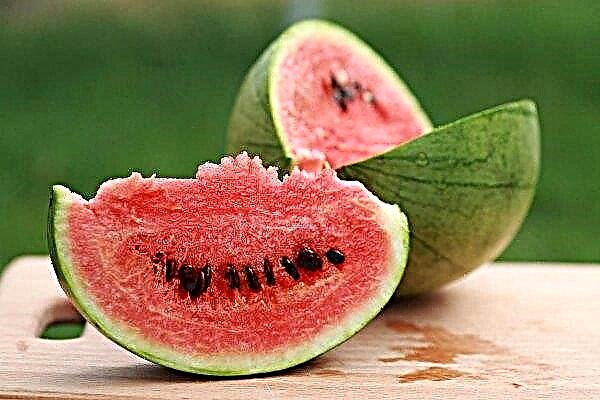 De glycemische index van watermeloen: calorieën en bj, inname via de voeding