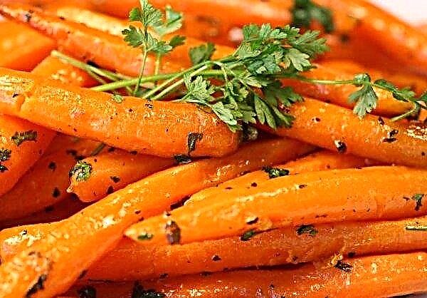 अगर आप रोज गाजर खाते हैं तो क्या होगा: जितना संभव हो उतना गुण, शरीर को लाभ और नुकसान