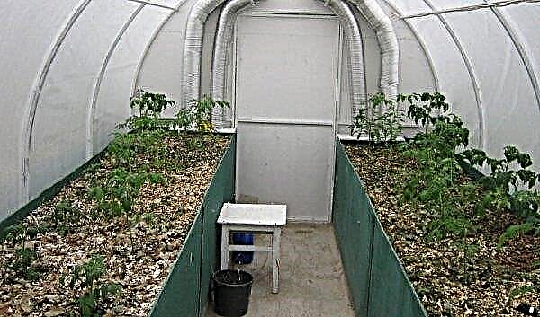 Warm beds in the greenhouse: how to do it yourself, features and benefits