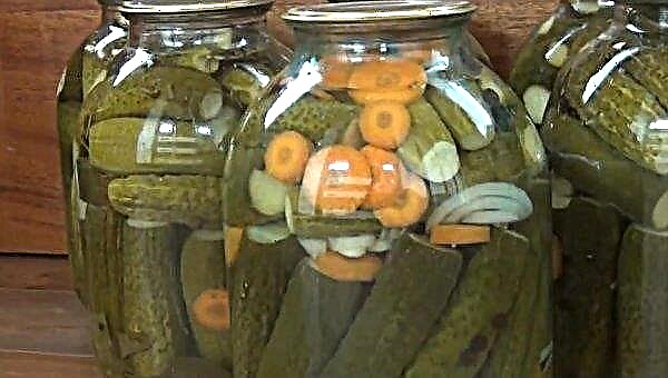 Recipe for pickled cucumbers with carrots for the winter