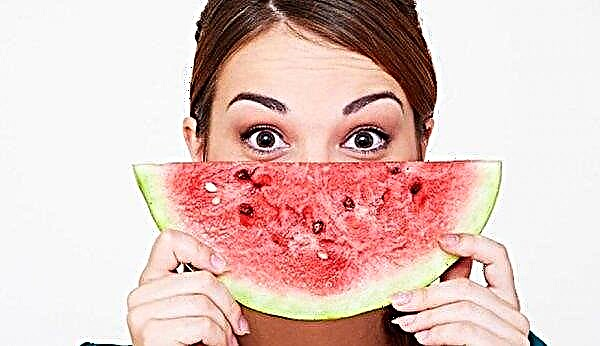 Watermelon peels: benefits and harms, features of use, possible contraindications