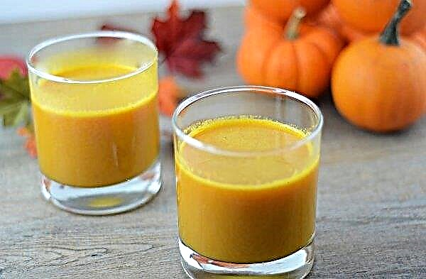 Pumpkin juice: benefits and harms for women and men, recipe