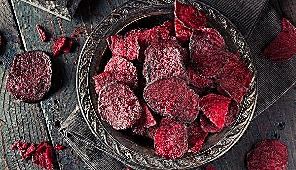 Dried beets for the winter: calories, benefits and harms, drying at home, how to use