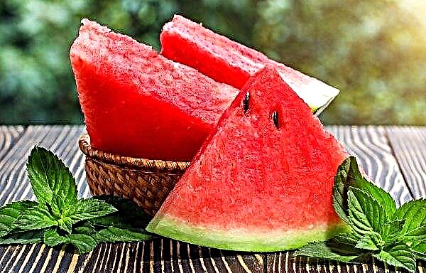 Použitie melónu na chudnutie: funkcie, ktoré môžete alebo nemôžete jesť v noci