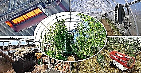 Heating a polycarbonate greenhouse in winter (water, gas, infrared): how to heat yourself, video