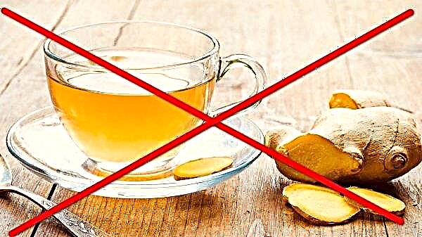 Thé au gingembre et au citron: propriétés médicinales, avantages et inconvénients, contre-indications